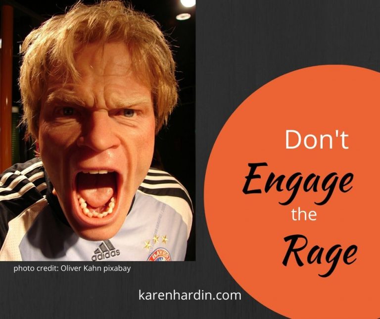 Don't Rage don't engage the rage meme - Karen Hardin