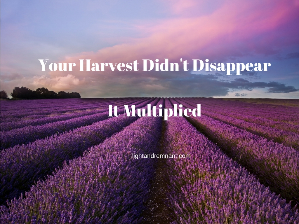 your-harvest
